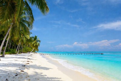Tropical beach with pier and palms