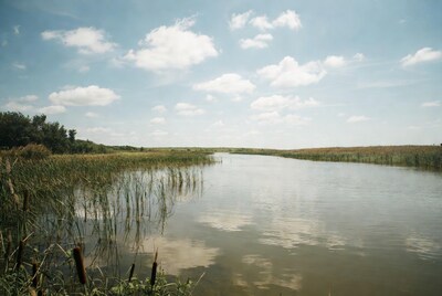 Reed-lined river under cloudy sky