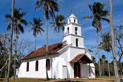 White church with bell tower among palm trees