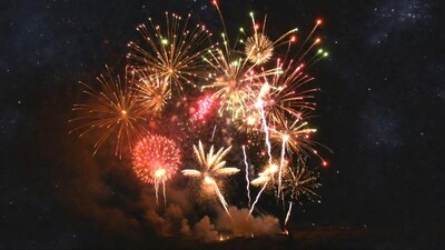 Colorful Fireworks Exploding in Night Sky