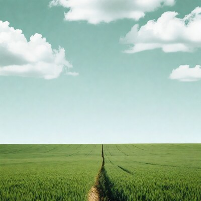 Dirt path through green wheat field