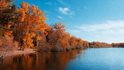 Autumn trees reflecting in lake