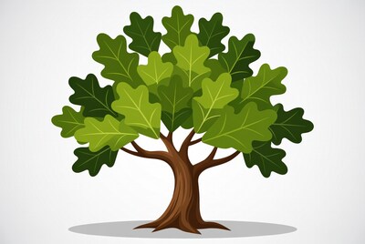Cartoon Oak Tree on White Background