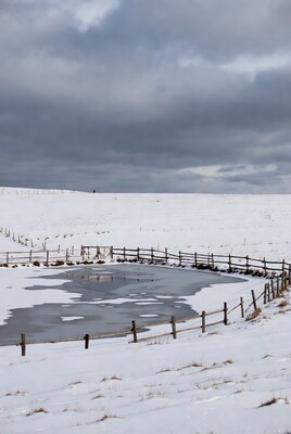 Frozen pond in snowy field