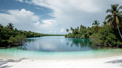 Turquoise Lagoon with Palm Trees and Beach