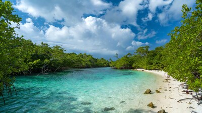 Turquoise Mangrove Lagoon Beach