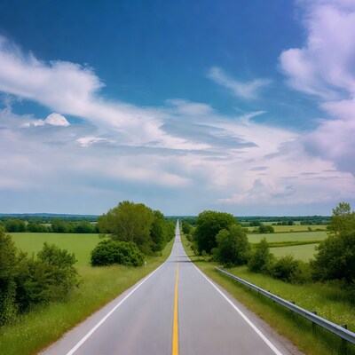Country road through green fields