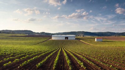 White Barn in Vineyard Rows