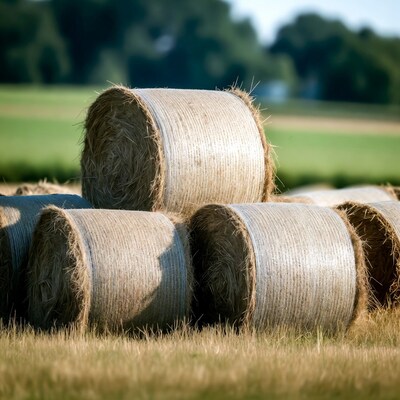 Hay bales in green field