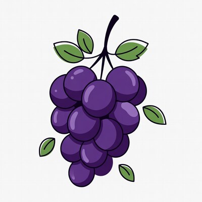 Purple grape bunch illustration