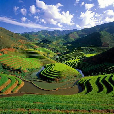 Terraced Rice Fields in Mountains
