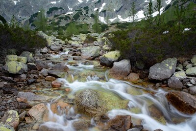 Mountain stream flowing over rocks