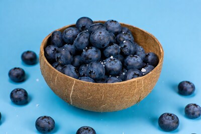 Blueberries in Coconut Shell Bowl