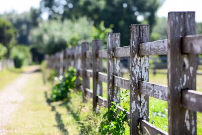 Weathered wooden fence along path