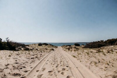 Sandy path through dunes to ocean