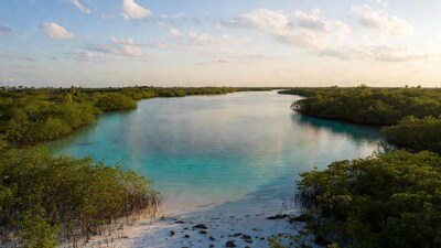 Turquoise Mangrove Lagoon Aerial View