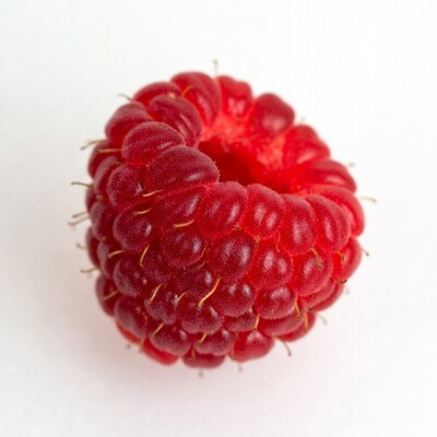 Raspberry on white background