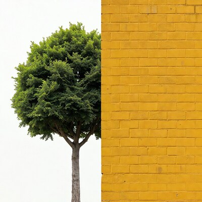 Green tree against yellow brick wall