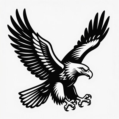 Bald eagle flying silhouette