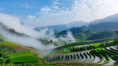 Misty Rice Terraces in Mountains