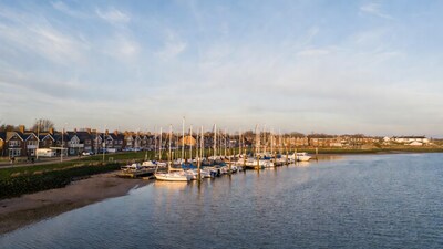 Sailboats docked at marina with houses