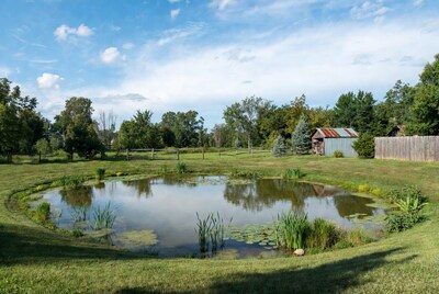 Pond with lily pads and barn