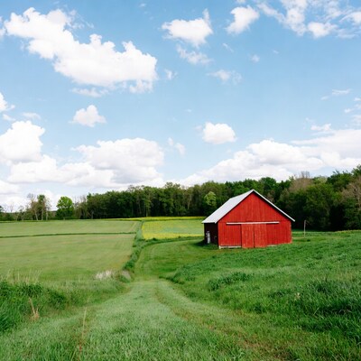 Red barn in green fields under blue sky