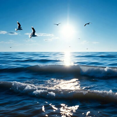 Seagulls flying over ocean sunset