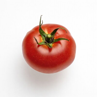 Red Tomato with Stem