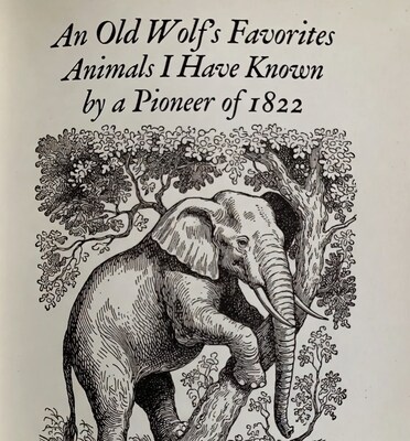 Vintage Elephant Illustration with Book Title