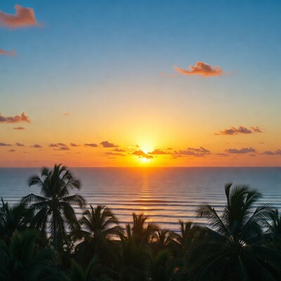 Sunset over ocean with palm trees