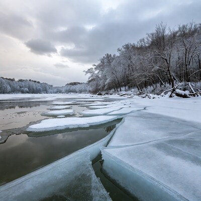 Frozen River with Ice Chunks and Snowy Trees