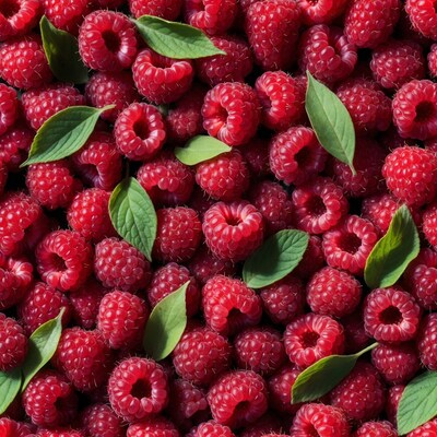 Fresh Red Raspberries with Leaves