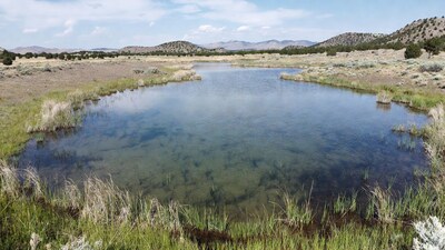 Small pond in arid desert landscape