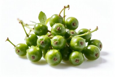 Cluster of green unripe berries