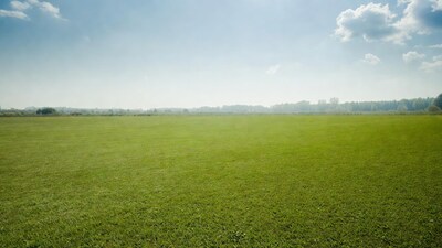 Vast green field under blue sky