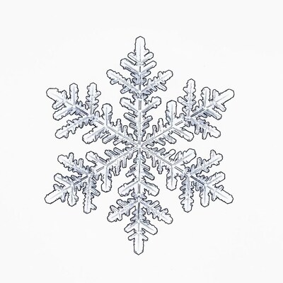Snowflake illustration