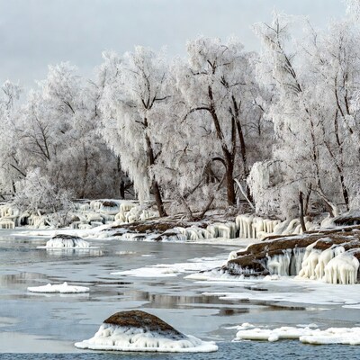 Snow-covered trees by icy river