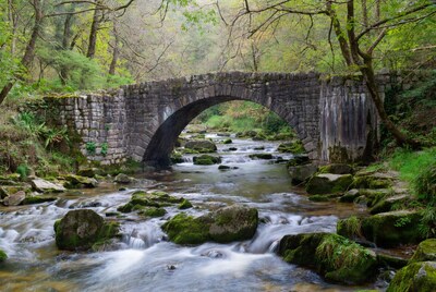 Stone Arch Bridge over Forest Stream