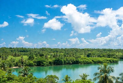 Turquoise lake with palm trees and forest