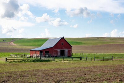 Red Barn in Green Fields