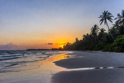 Sunset over tropical beach with palms