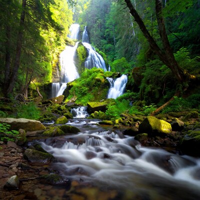 Majestic Waterfall in Lush Forest