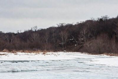 Ice Covered Shoreline with Winter Forest