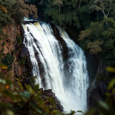 Majestic waterfall cascading in lush forest