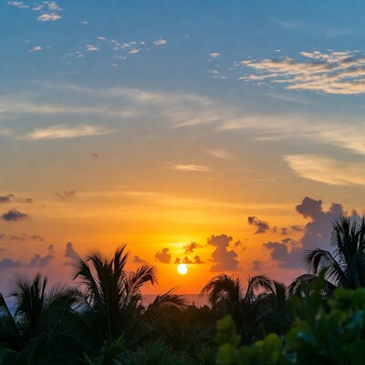 Sunset over palm trees