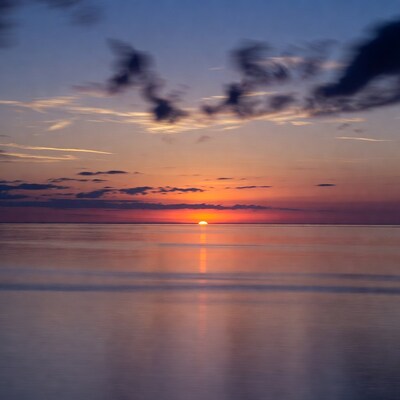 Sunset over calm sea with branches