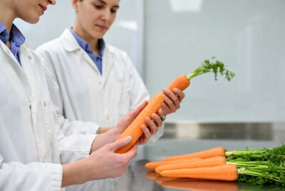 Women scientists examining carrots