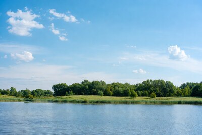 Lake with green trees and reeds