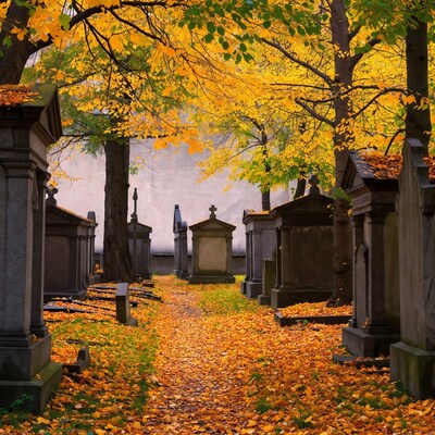 Autumn Path in Old Cemetery